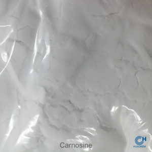 Macro photography revealing the fine, uniform, white powder texture of Huachem Carnosine.