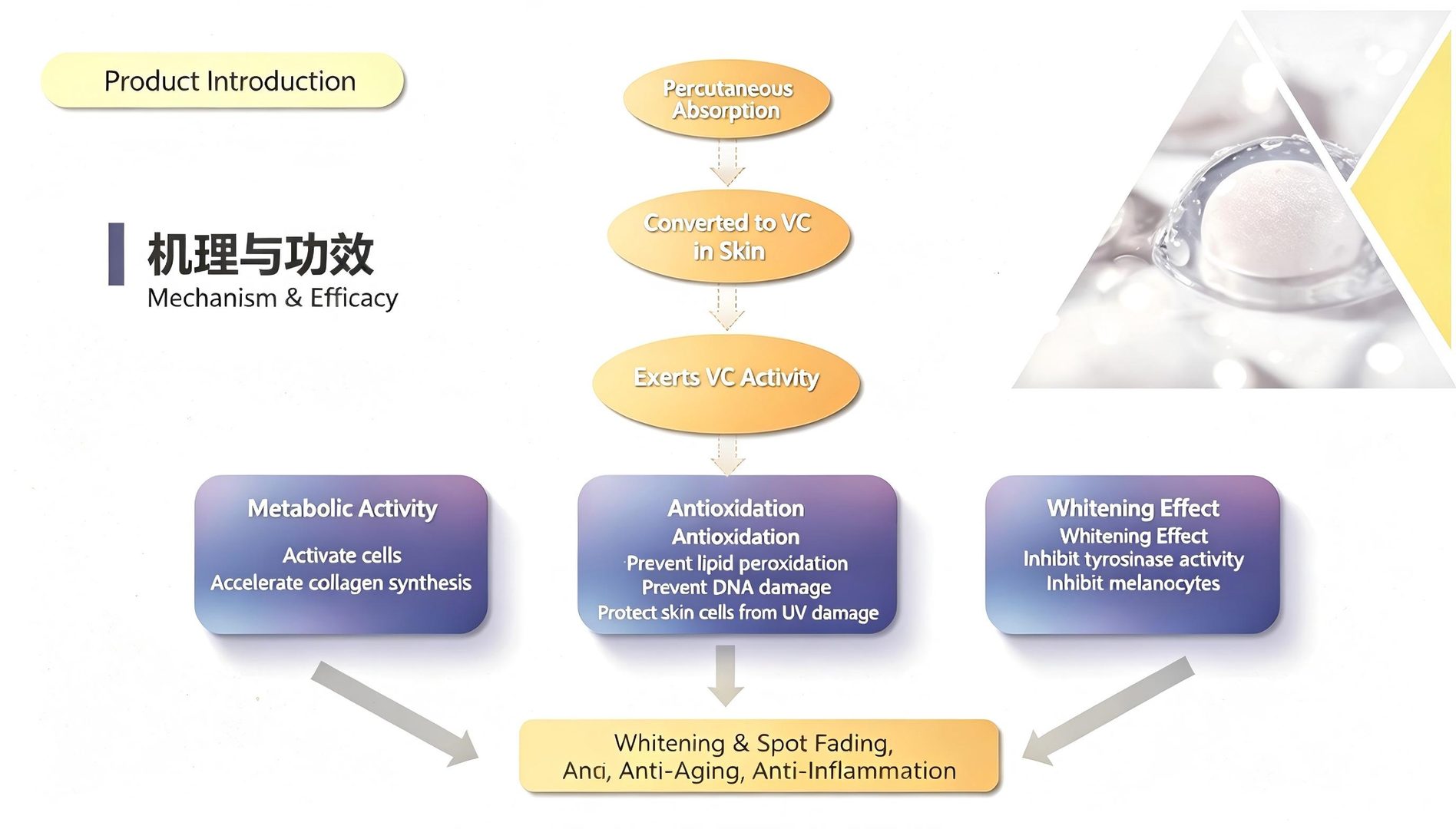 VC-IP-Mechanism and efficacy